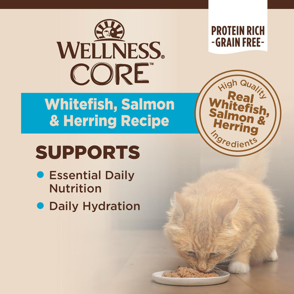 Wellness CORE Pate Whitefish, Salmon & Herring Natural Grain-Free Adult Wet Cat Food Can