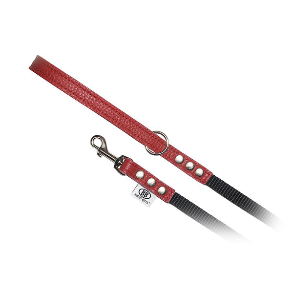 Buddy Belts Laisse pour chien avec accents en nylon permanent, Rouge