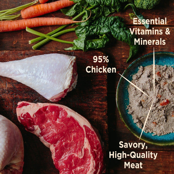 Wellness CORE 95% Grain-Free Chicken & Broccoli Wet Dog Food Can