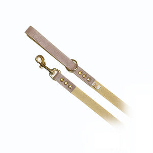 Buddy Belts Limited Nylon Accent Dog Leash, Latte