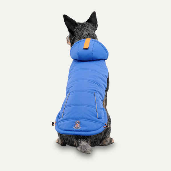 Goo-eez Veste d'hiver à capuche Signature pour chiens, Bleu royal