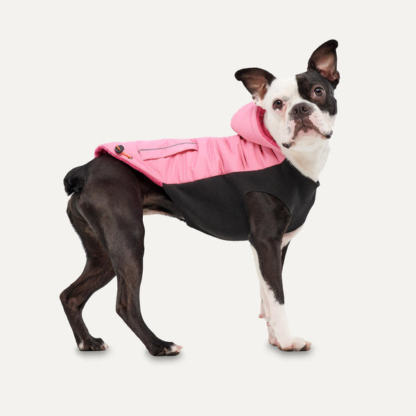 Goo-eez Veste d'hiver à capuche Signature pour chiens, Rose