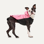 Goo-eez Veste d'hiver à capuche Signature pour chiens, Rose