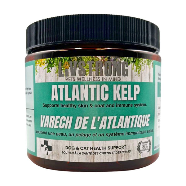 Livstrong Complément pour chiens et chats Poudre d'algue Atlantique