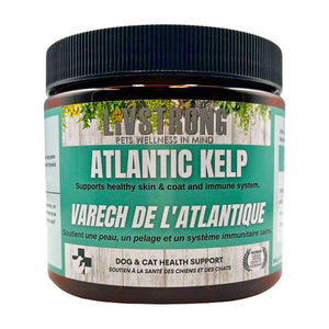 Livstrong Complément pour chiens et chats Poudre d'algue Atlantique