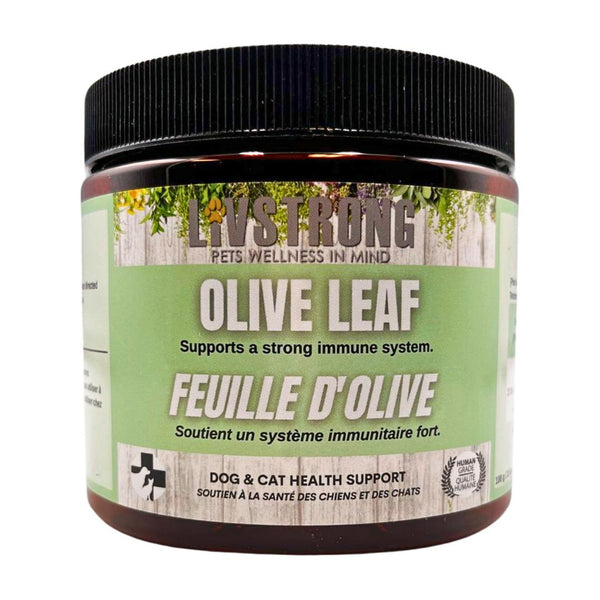 Livstrong Poudre de feuilles d'olivier Complément pour chiens et chats