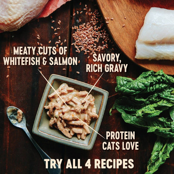 Wellness CORE Hearty Cuts in Gravy Shredded Whitefish & Salmon Grain-Free Wet Cat Food Cans
