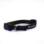 Smoochy Poochy Collier pour chien en nylon, marron