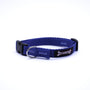 Smoochy Poochy Collier pour chien en nylon, océan