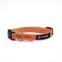 Smoochy Poochy Collier pour chien en nylon, orange