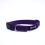 Smoochy Poochy Collier pour chien en nylon, violet