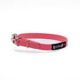 Smoochy Poochy Collier pour chien style boucle en polyvinyl, Rose vif