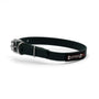 Smoochy Poochy Polyvinyl Buckle Style Dog Collar, Jaguar