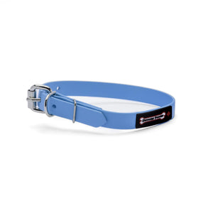 Smoochy Poochy Collier pour chien style boucle en polyvinyl, Turquoise