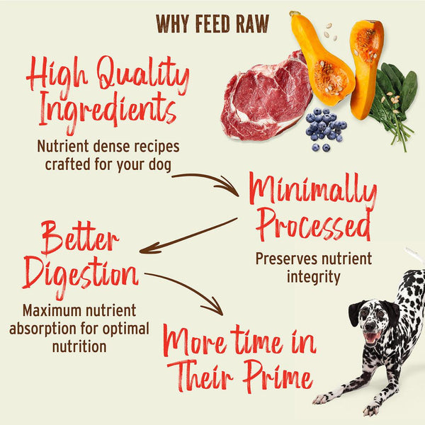Primal Kibble in the Raw Recette au Poulet Nourriture sèche lyophilisée pour chiens