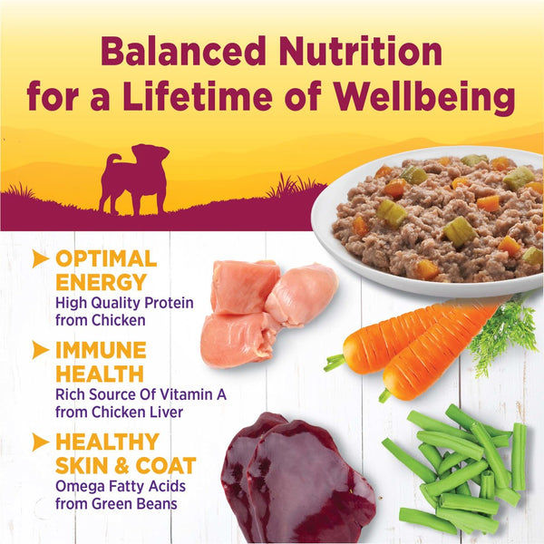 Wellness Petite Entrees Casserole with Tender Chicken, Green Beans & Carrots Grain-Free Wet Dog Food