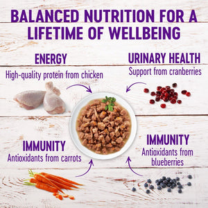 Wellness Healthy Indulgence Morsels with Chicken & Salmon in Savory Sauce Grain-Free Wet Cat Food Pouches