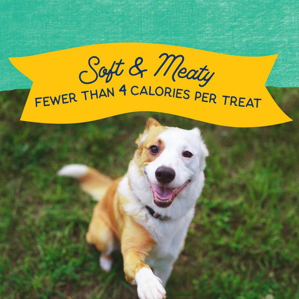 Natural Balance Rewards Minis Friandises pour chiens au vrai poulet, 5.3-oz