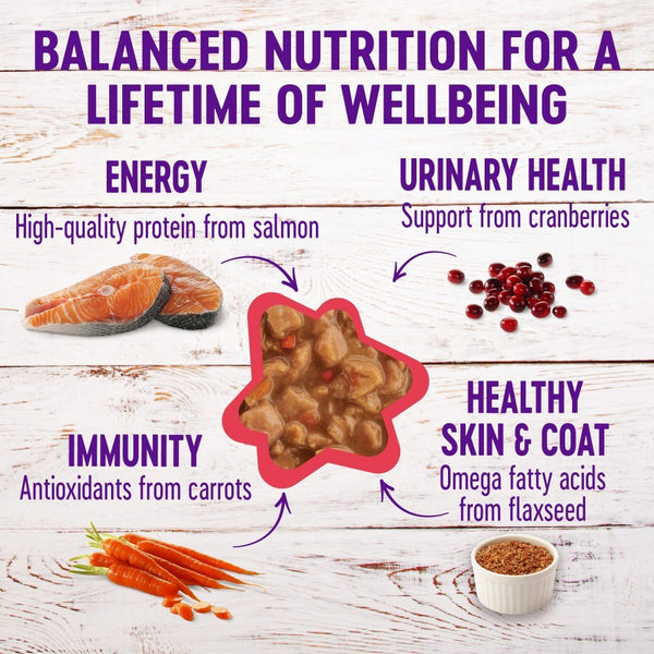 Wellness Complete Health Grain-Free Gravies Salmon Entree Wet Cat Food Cans