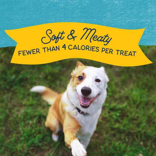 Natural Balance Rewards Minis with Real Turkey Dog Treats, 5.3-oz