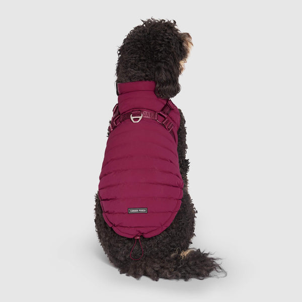 Canada Pooch Harnais d'hiver Puffer pour chiens, Prune