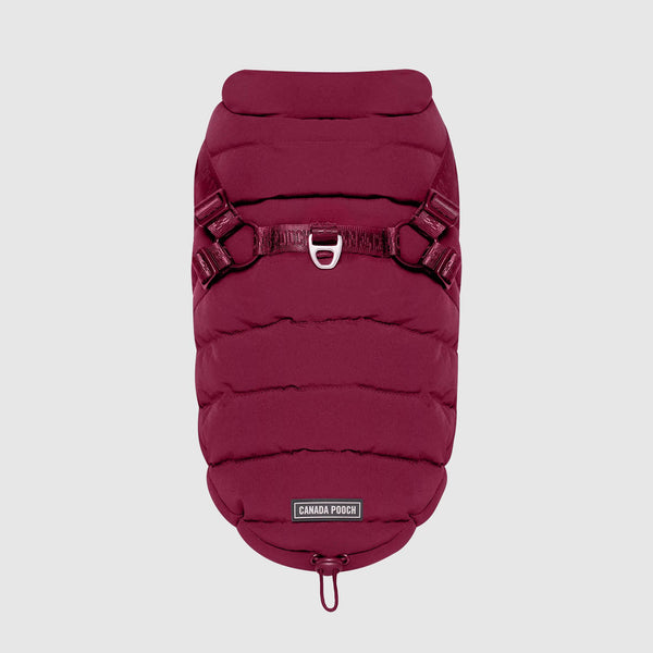 Canada Pooch Harnais d'hiver Puffer pour chiens, Prune