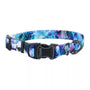 Inspire Adjustable Fashion Dog Collar, Rainy Day Floral