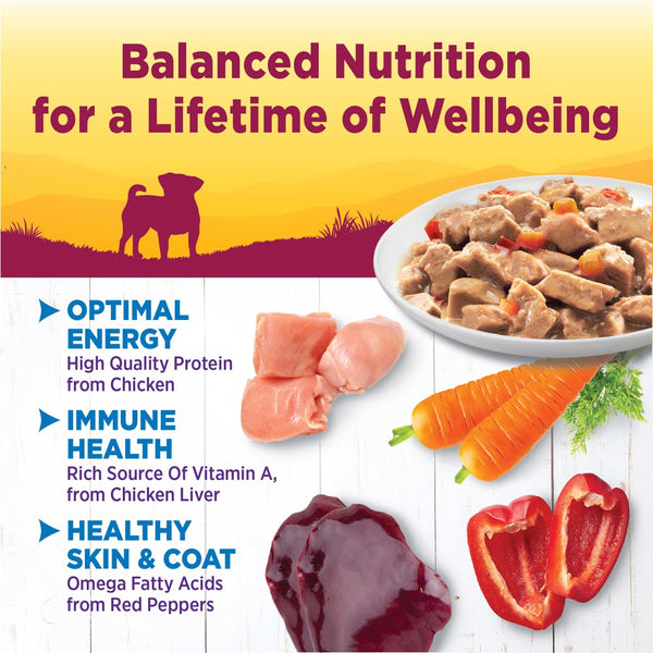 Wellness Petite Entrées Mini-filets au poulet rôti, carottes et poivrons rouges en sauce Sans céréales nourriture humide pour chiens