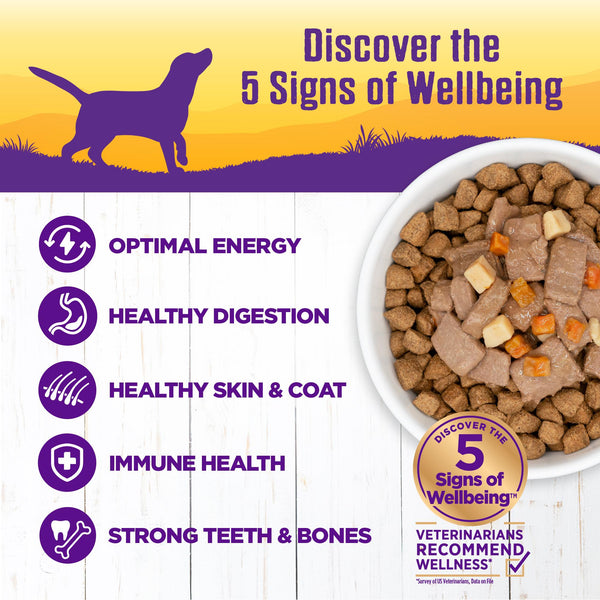 Wellness Complete Health Venison & Salmon Stew Wet Dog Food Can