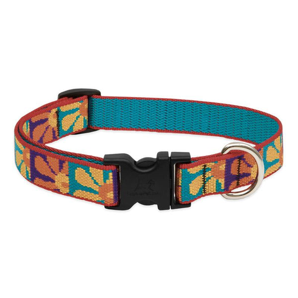 Lupine Pet Original Designs Adjustable Dog Collar, Crazy Daisy