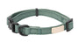 FuzzYard Life Collier pour chien, Vert myrte