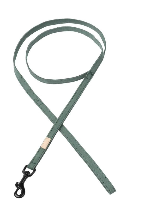FuzzYard Life Laisse pour chien, Vert myrte