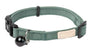 FuzzYard Life Collier pour chat, Vert myrte