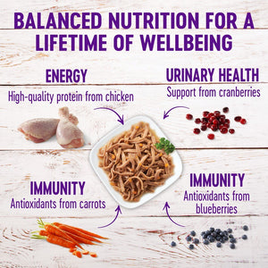 Wellness Healthy Indulgence Shreds with Chicken & Turkey in Light Sauce Grain-Free Wet Cat Food Pouches