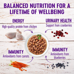 Wellness Healthy Indulgence Gravies with Bits of Chicken & Turkey Smothered in Gravy Grain-Free Wet Cat Food Pouches