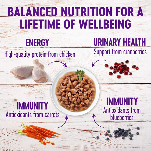 Wellness Healthy Indulgence Gravies with Bits of Chicken & Turkey Smothered in Gravy Grain-Free Wet Cat Food Pouches