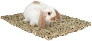 Marshall Peter's Grass Mat Small Animal Mat