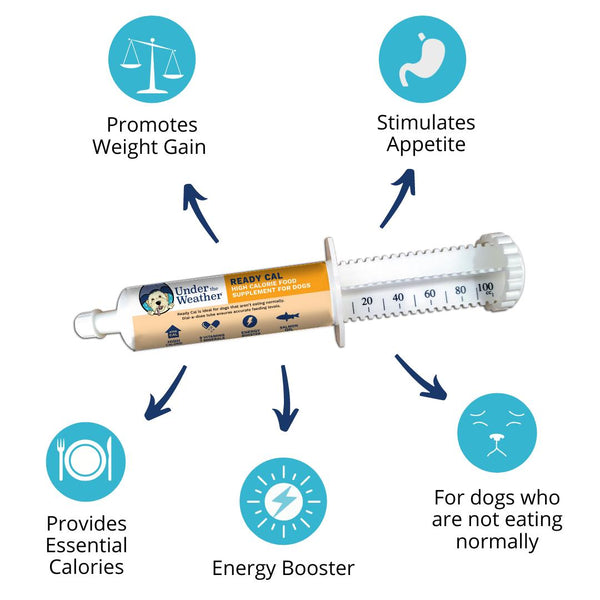 Under the Weather Ready Cal Supplément Hypercalorique pour Chiens