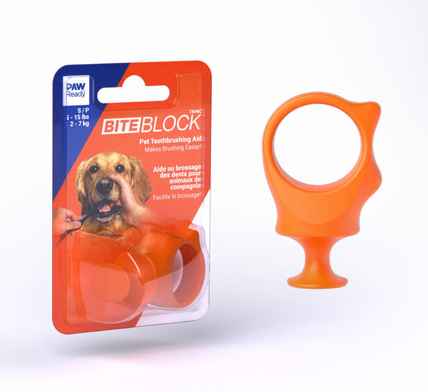 Paw Ready BrushMate BiteBlock Aide au brossage des dents pour animaux, Bleu