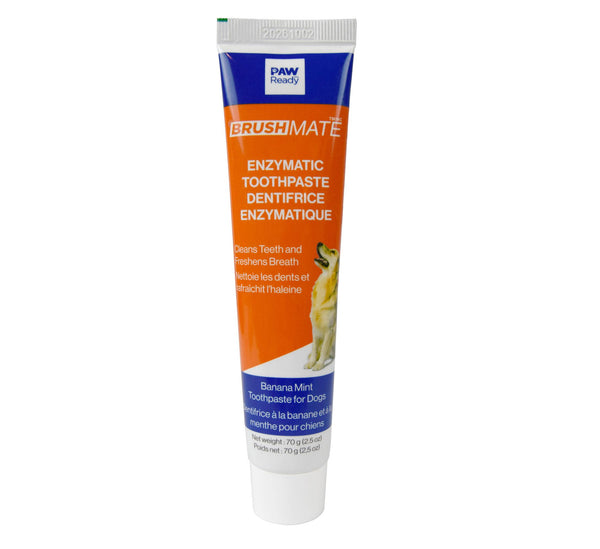Paw Ready BrushMate Dentifrice pour animaux Banane Menthe, 2,5 oz