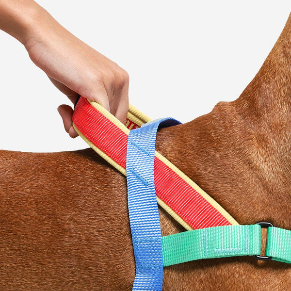 Zee.Dog Softerwalk Dog Harness, Mellow