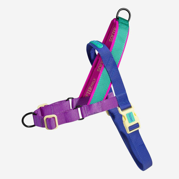 Zee.Dog Harnais SofterWalk pour chien, Shockwave