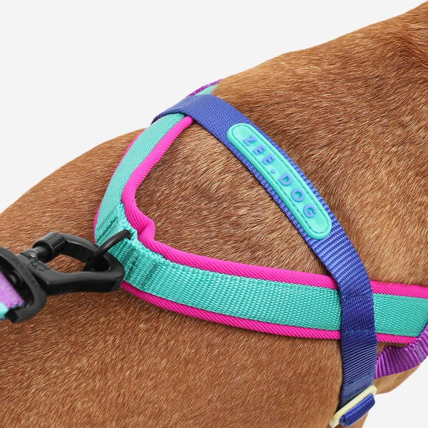Zee.Dog Harnais SofterWalk pour chien, Shockwave