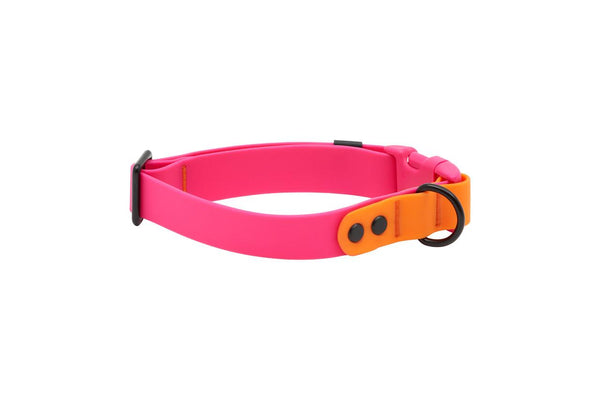 RC Pets Waterproof Dog Collar, Azalea/Orange
