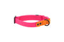 RC Pets Waterproof Dog Collar, Azalea/Orange