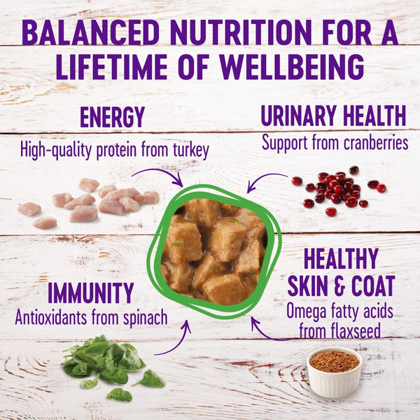 Wellness Complete Health Grain-Free Morsels Turkey Dinner Wet Cat Food Cans