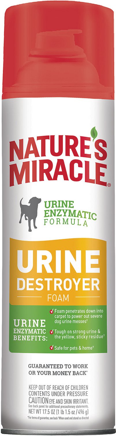Nature's Miracle Mousse enzymatique destructrice de taches d'urine pour chiens, Spray aérosol flacon de 17.5 oz