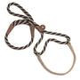 Mendota Pet Large Martingale Slip Walker Dog Collar & Leash, Twist Mocha