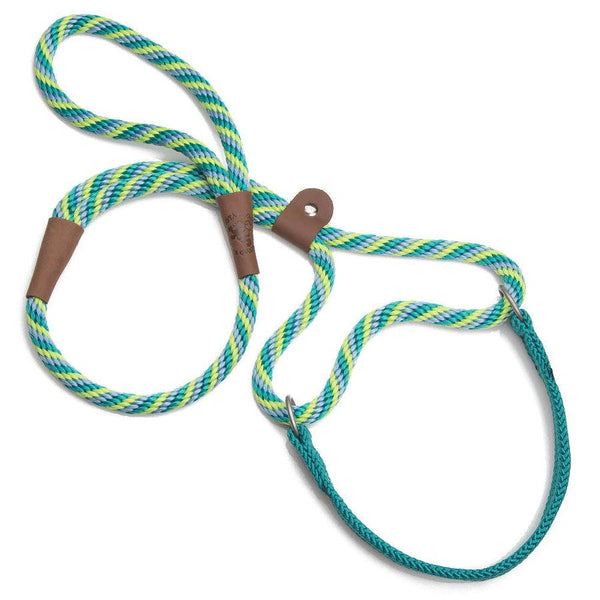 Mendota Pet Large Martingale Slip Walker Dog Collar & Leash, Twist Seafoam