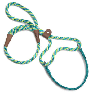 Mendota Pet Large Martingale Slip Walker Dog Collar & Leash, Twist Seafoam